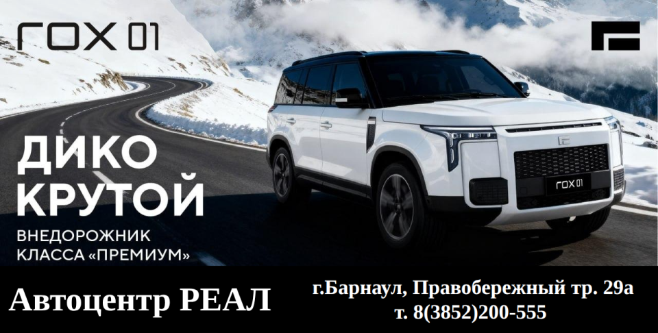Автомобили ROX 01