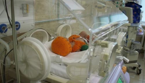 Выдержать конкуренцию. Как работает один из старейших роддомов Барнаула