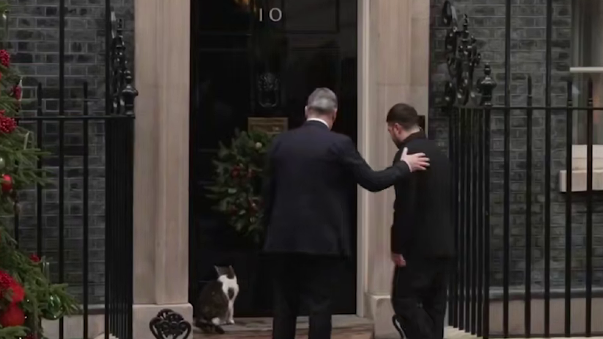 Кот Ларри в британской резиденции