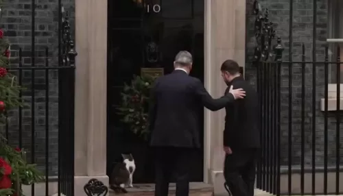 Главный кот Британии сбежал от Зеленского: что говорят о поведении Ларри