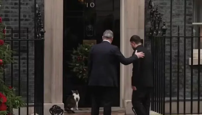 Главный кот Британии сбежал от Зеленского: что говорят о поведении Ларри