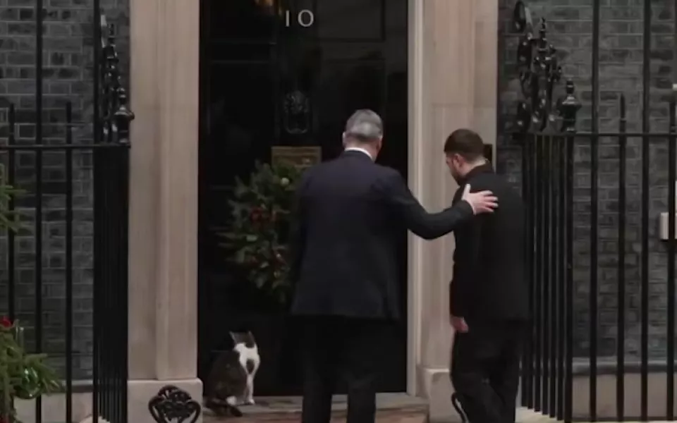 Главный кот Британии сбежал от Зеленского: что говорят о поведении Ларри