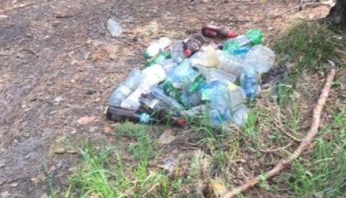 Соцсети: Трасса здоровья в барнаульском бору заросла мусором