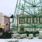 Как на площади Свободы растет главная барнаульская ель. Фото