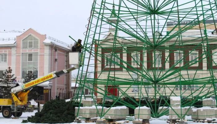 Как на площади Свободы растет главная барнаульская ель. Фото