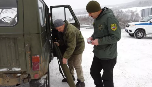 Расстреливают из машин: браконьеры в Горном Алтае уничтожают косуль во время миграции