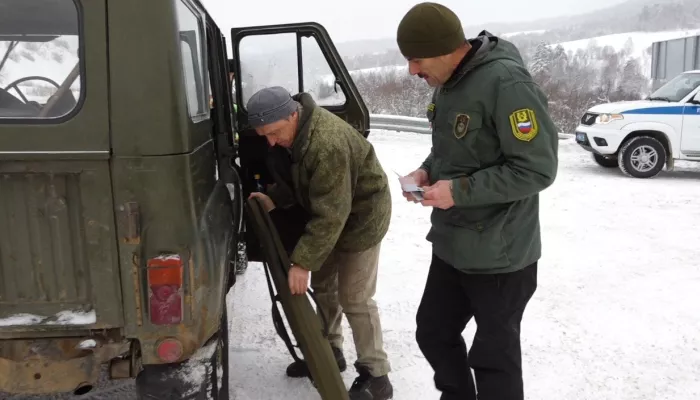 Расстреливают из машин: браконьеры в Горном Алтае уничтожают косуль во время миграции