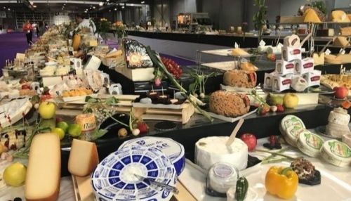 Алтайский сыр появится на прилавках французских магазинов