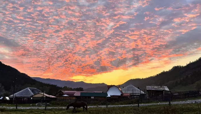 Дом из кедра с видом на лес и реку продают в Горном Алтае за 18,5 млн рублей. Фото