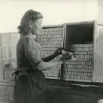 Искра для Спички: как выглядела знаменитая фабрика в советские годы. Фотоархив