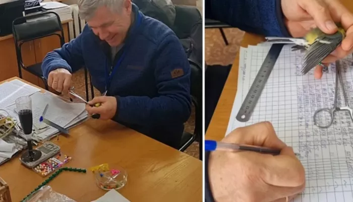 Питерские синички летают в Париж: как кольцуют пернатых