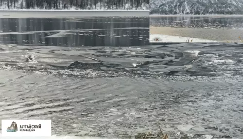 На видео попал хрустальный перезвон льда на Телецком озере