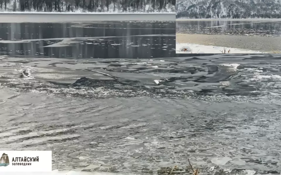 На видео попал хрустальный перезвон льда на Телецком озере