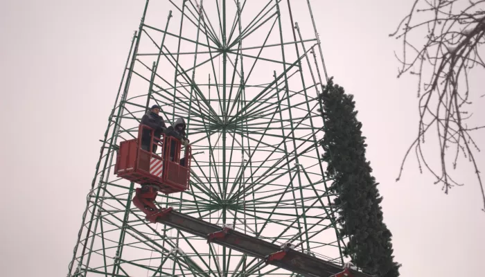 Елка растет: как в Барнауле украшают главную новогоднюю площадь. Фоторепортаж