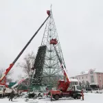 Главная елка Барнаула обрастает хвоей. Фото монтажа главного символа Нового года