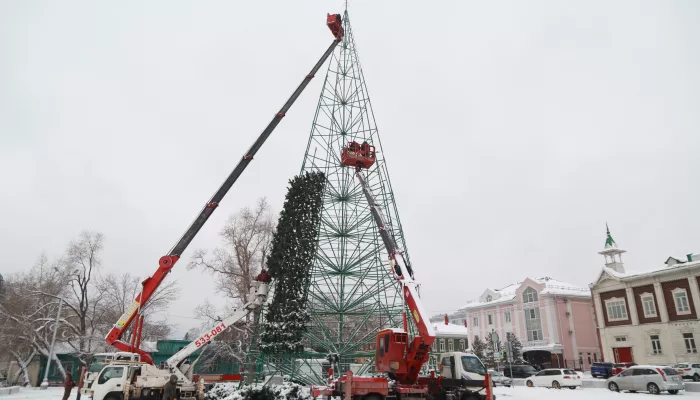 Главная елка Барнаула обрастает хвоей. Фото монтажа главного символа Нового года