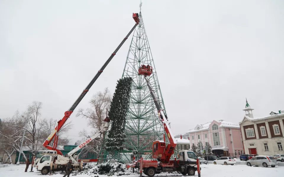 Главная елка Барнаула обрастает хвоей. Фото монтажа главного символа Нового года