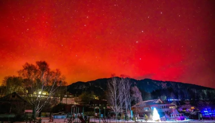 Алтайский заповедник поделился снимками северного сияния над Телецким озером. Фото