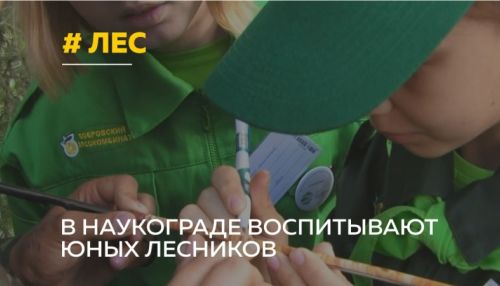 День эколога отмечают в России 5 июня