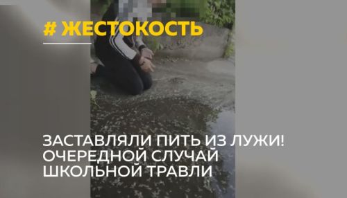 Три школьницы в Бийске заставили сверстницу пить из лужи: СК начал проверку