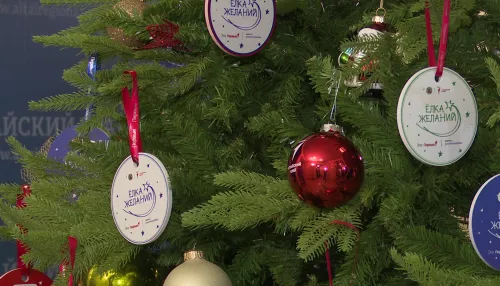 В Алтайском крае стартовала Всероссийская акция Елка желаний