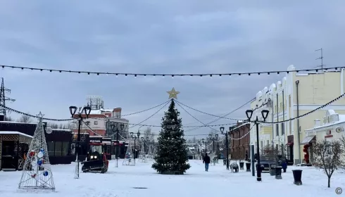 В новогоднем городке на улице Мало-Тобольской в Барнауле установили елку. Фото