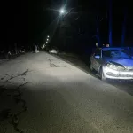 Пьяная поездка: под Новосибирском вынесли приговор за гибель матери и дочери