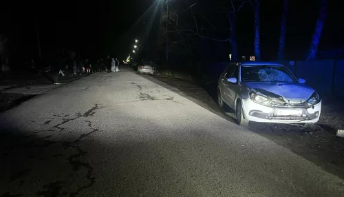 Пьяная поездка: под Новосибирском вынесли приговор за гибель матери и дочери