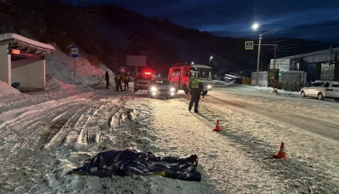 В Горно-Алтайске 53-летняя женщина погибла под колесами мусоровоза