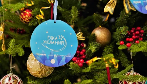 Депутаты БГД исполнят новогодние мечты детей в рамках акции Ёлка желаний. Фото