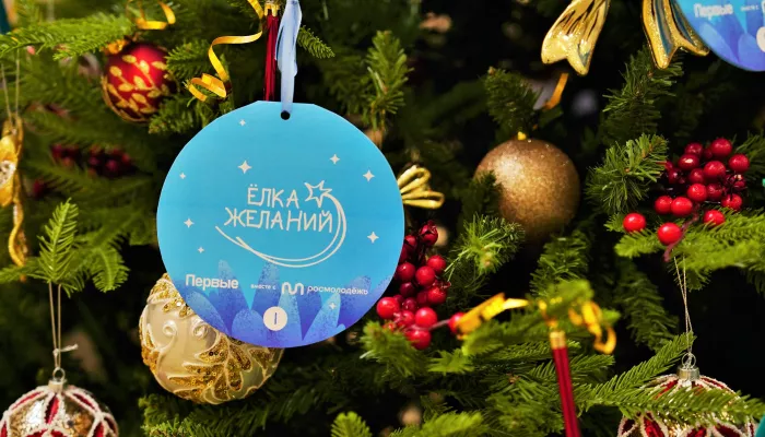 Депутаты БГД исполнят новогодние мечты детей в рамках акции Ёлка желаний. Фото