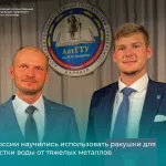 Ученые АлтГТУ научились использовать ракушки для очистки воды от тяжелых металлов