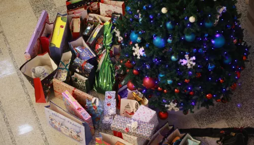 Лыжи, гитара и суперкрылья: депутаты АКЗС исполнили новогодние желания детей. Фото