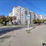 Бешенство в столице: в Барнауле вновь нашли смертельное заболевание