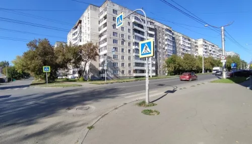 Бешенство в столице: в Барнауле вновь нашли смертельное заболевание