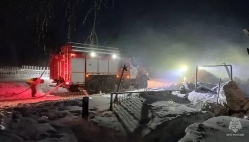 За одно утро пожары унесли жизни троих жителей Алтайского края