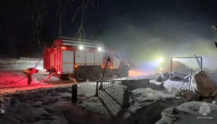 За одно утро пожары унесли жизни троих жителей Алтайского края