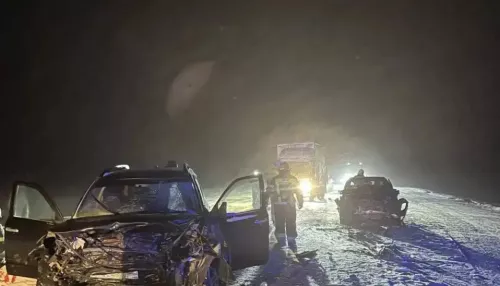 Два человека погибли, еще трое пострадали в жестком ДТП под Новосибирском