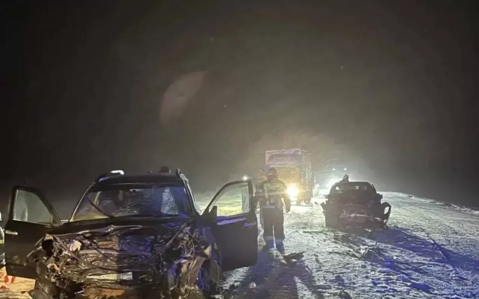 Два человека погибли, еще трое пострадали в жестком ДТП под Новосибирском