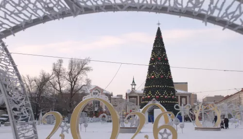 Новогодние игрушки: как в Барнауле украшают площадь Свободы к Новому году. Фото