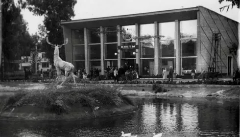 Место гордости и счастья: какой была легендарная ВДНХ в Нагорном парке Барнаула. Фото