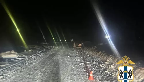 Пьяный водитель насмерть сбил 12-летнюю девочку под Новосибирском