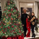 Монстры, классика и золото: как нарядили свои елки российские звезды. Фото