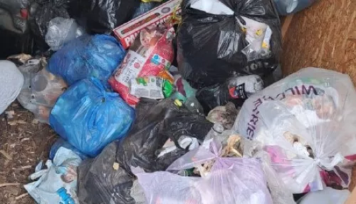 Регоператора в Республике Алтай оштрафовали на 400 тысяч рублей за невывоз мусора