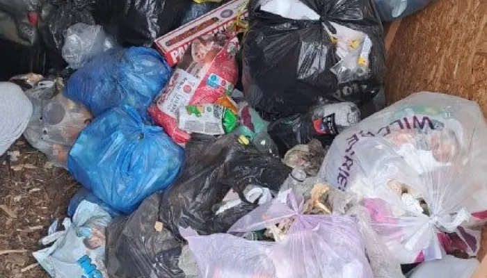 Регоператора в Республике Алтай оштрафовали на 400 тысяч рублей за невывоз мусора