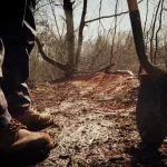 Зять закопал тещу на кладбище домашних животных и оформил на нее кредиты. Подробности