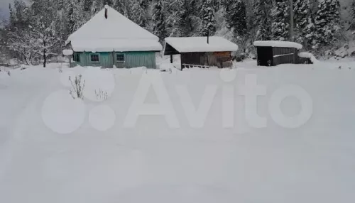Дом с большим участком продают в Горном Алтае всего за 600 тысяч рублей. Фото