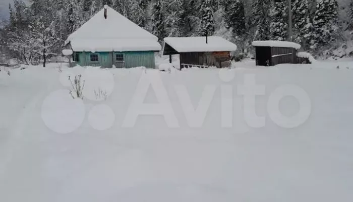 Дом с большим участком продают в Горном Алтае всего за 600 тысяч рублей. Фото