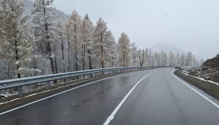 В Республике Алтай за год привели в порядок 82 км региональных дорог