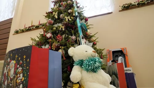 Елка желаний: барнаульские депутаты подготовили новогодние сюрпризы для детей